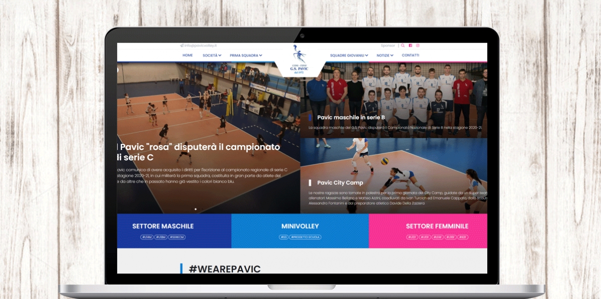 Pavic Volley